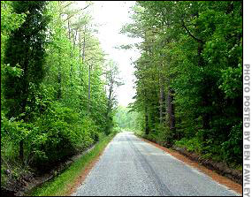 A road in the general area where Taylor's body was found