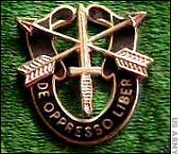 Green Beret Emblem