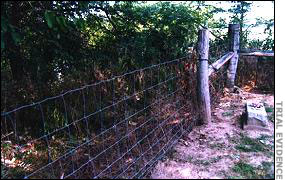 Corner of Cemetery where victim's bodies were found.