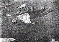 Kid Twist Reles after plunge