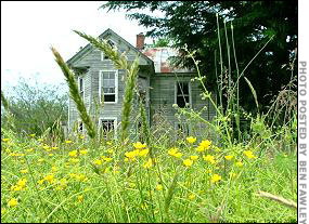 Abandoned house identified by Fawley's ex-girlfriend, second view