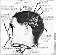 Phrenologist's interpretation of Loeb