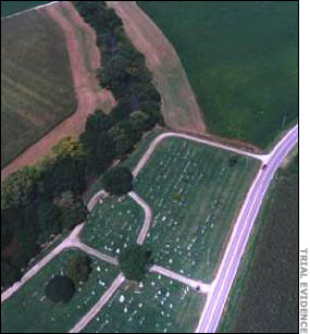 Aerial view of the cemetery.