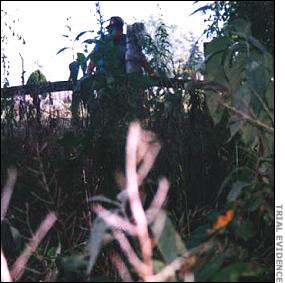 View of the weeds surrounding the bodies