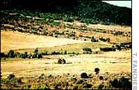 The Mountain Meadows massacre of over 120 men, women and children