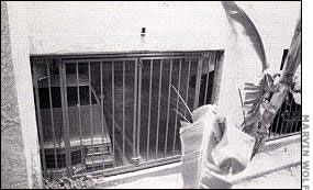 Faye Kellerman’s Murder by the Book: The Ninja Murder Case