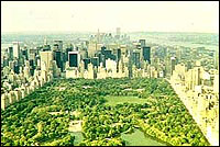 Killing in Central Park