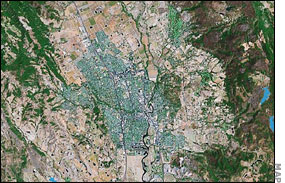 Halloween Murder in Napa Valley