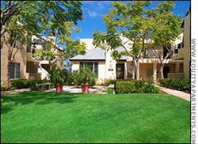 The Clairemont Serial Killer