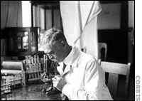 Dr. Karl Landsteiner in his laboratory, working on blood samples