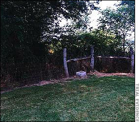 Cemetery where victim's bodies were found.