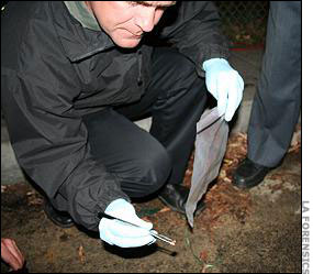 Police gather evidence from the crime scene.