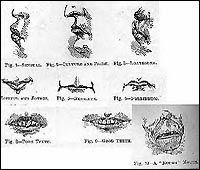 Facial characteristics described by Lombroso, some of which may indicate criminality. From: New Physiognomy or Signs of Character (1871)