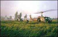 US helicopters carried Company C (TIMPIX)