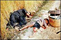 My Lai victims (TIMPIX)