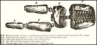 Drawing of remains found in the medical building (Massachusetts Historical Society) 