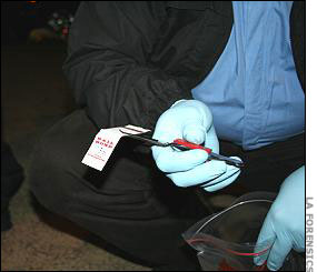 Matchbook Found at Crime Scene