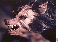 A transformed TV werewolf