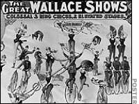 The Great Wallace Show